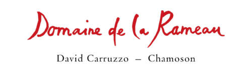 BONVIN CAVE SUISSE DE L'ANNEE logo BONVIN CAVE SUISSE DE L'ANNEE logo