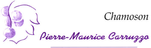 P.M. Carruzzo P.M. Carruzzo